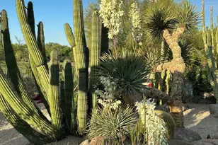 7485 E Tumbleweed, Scottsdale, AZ 85266 - Photo 7