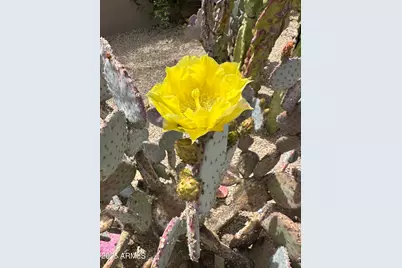 7485 E Tumbleweed Drive, Scottsdale, AZ 85266 - Photo 51