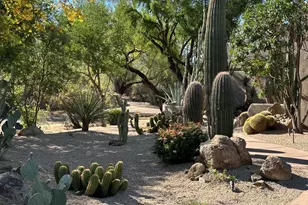 7485 E Tumbleweed, Scottsdale, AZ 85266 - Photo 11