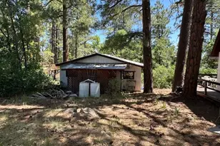 135 Spruce Dr, Mormon Lake, AZ 86038 - Photo 37