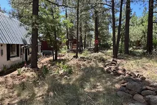 135 Spruce Dr, Mormon Lake, AZ 86038 - Photo 9