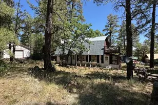 135 Spruce Dr, Mormon Lake, AZ 86038 - Photo 5