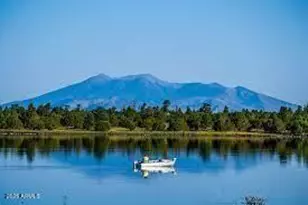 135 Spruce Dr, Mormon Lake, AZ 86038 - Photo 49