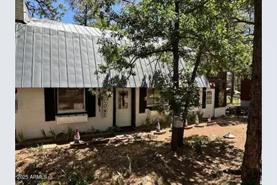 135 Spruce Drive, Mormon Lake, AZ 86038 - Photo 3