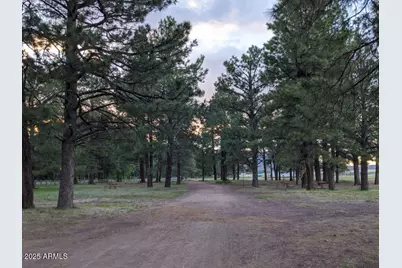 135 Spruce Drive, Mormon Lake, AZ 86038 - Photo 53