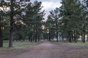 135 Spruce Dr, Mormon Lake, AZ 86038 - Photo 53