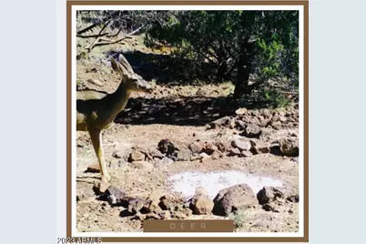 00Xx N Edwards Ranch Rd 327 Road #327, Ash Fork, AZ 86320 - Photo 3