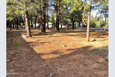 5151 Saddle Strap Way #44, Pinetop, AZ 85935 - Photo 5