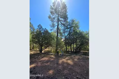 2511 E Pine Island Lane #39, Payson, AZ 85541 - Photo 1