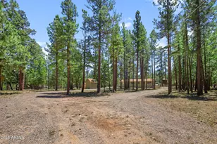 646 Reata Pass, Happy Jack, AZ 86024 - Photo 1