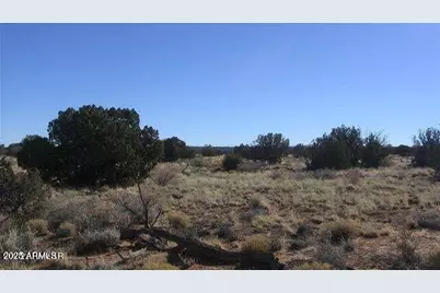 Sec 31 T15N,R16E:nw4 Se4 -- #28, Heber, AZ 85928 - Photo 3