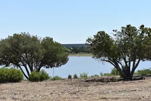 1949 Norton Pl, Show Low, AZ 85901 - Photo 23