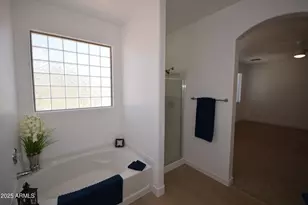 28377 N Desert Native St, San Tan Valley, AZ 85143 - Photo 41