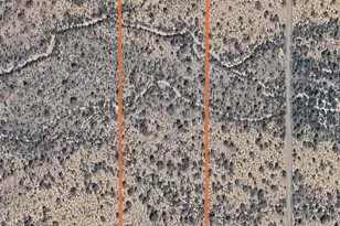 13Xxx N Gardenshire Rd, Florence, AZ 85132 - Photo 1