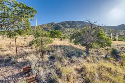 4 Acres S Ridge Rock Road #D, Hereford, AZ 85615 - Photo 7