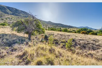 4 Acres S Ridge Rock Road #D, Hereford, AZ 85615 - Photo 11