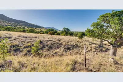 4 Acres S Ridge Rock Road #D, Hereford, AZ 85615 - Photo 5