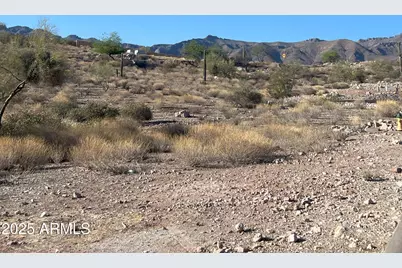 9072 E Canyon Creek Drive #16, Gold Canyon, AZ 85118 - Photo 3