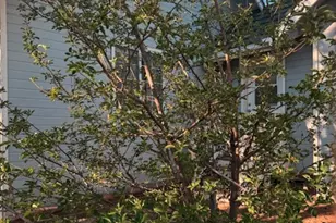 2404 W Palmer Dr, Payson, AZ 85541 - Photo 107