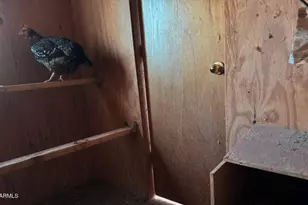 2404 W Palmer Dr, Payson, AZ 85541 - Photo 95