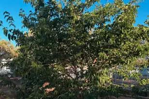 2404 W Palmer Dr, Payson, AZ 85541 - Photo 105