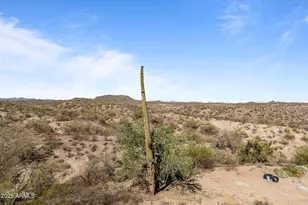 45327 San Domingo Peak Trail, Morristown, AZ 85342 - Photo 41