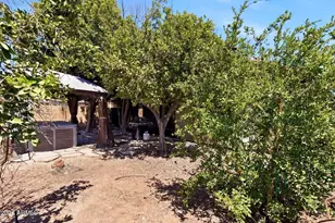 6205 W Encinas Ln, Phoenix, AZ 85043 - Photo 19
