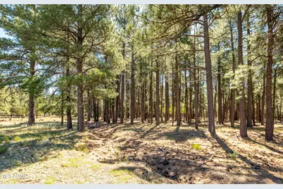 295 E Foxboro Road #5, Munds Park, AZ 86017 - Photo 11