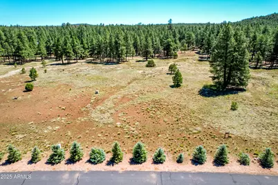 295 E Foxboro Road #5, Munds Park, AZ 86017 - Photo 9