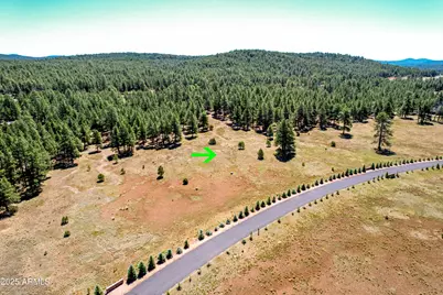 295 E Foxboro Road #5, Munds Park, AZ 86017 - Photo 3