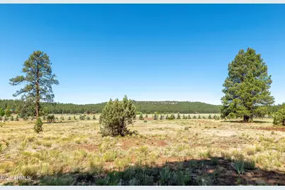 295 E Foxboro Road #5, Munds Park, AZ 86017 - Photo 33