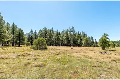 295 E Foxboro Road #5, Munds Park, AZ 86017 - Photo 31