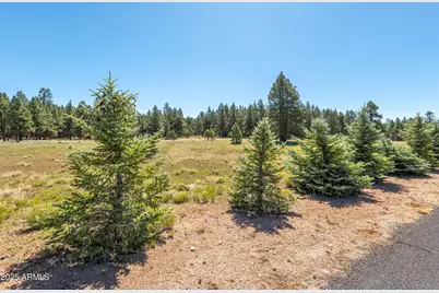 295 E Foxboro Road #5, Munds Park, AZ 86017 - Photo 23