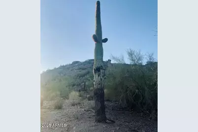 620 W Tonto Street #-, Apache Junction, AZ 85120 - Photo 25