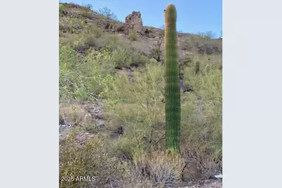 620 W Tonto Street #-, Apache Junction, AZ 85120 - Photo 27