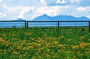 41 Martha's Ln, Elgin, AZ 85611 - Photo 1