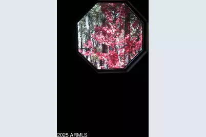 3910 Larson Loop, Forest Lakes, AZ 85931 - Photo 57