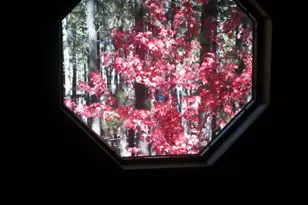 3910 Larson Loop, Forest Lakes, AZ 85931 - Photo 57