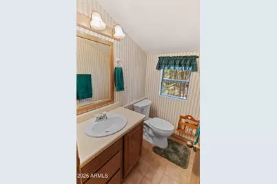 3910 Larson Loop, Forest Lakes, AZ 85931 - Photo 39