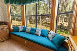 3910 Larson Loop, Forest Lakes, AZ 85931 - Photo 19