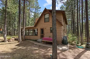 3910 Larson Loop, Forest Lakes, AZ 85931 - Photo 11