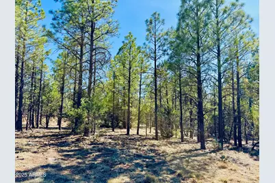 2640 Spoonbill Drive, Happy Jack, AZ 86024 - Photo 99