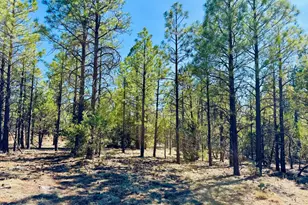 2640 Spoonbill Dr, Happy Jack, AZ 86024 - Photo 99