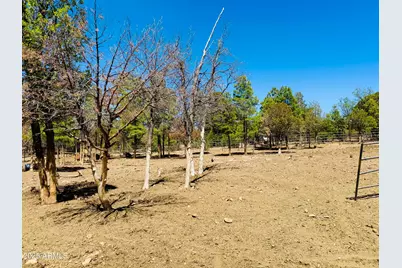 2640 Spoonbill Drive, Happy Jack, AZ 86024 - Photo 69