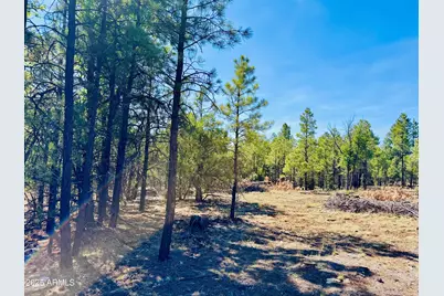2640 Spoonbill Drive, Happy Jack, AZ 86024 - Photo 101