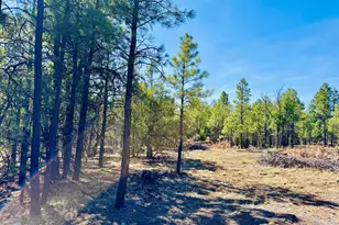 2640 Spoonbill Dr, Happy Jack, AZ 86024 - Photo 101