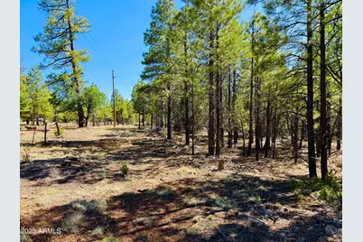 2640 Spoonbill Drive, Happy Jack, AZ 86024 - Photo 11