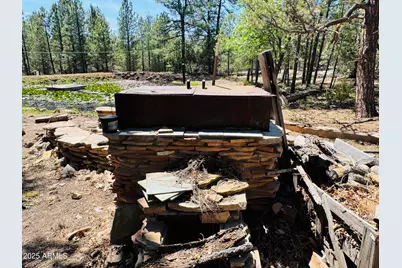 2640 Spoonbill Drive, Happy Jack, AZ 86024 - Photo 63