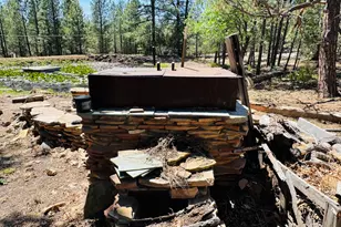 2640 Spoonbill Dr, Happy Jack, AZ 86024 - Photo 63