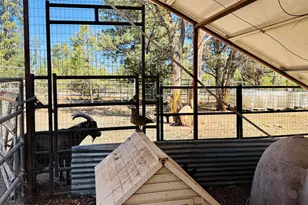 2640 Spoonbill Dr, Happy Jack, AZ 86024 - Photo 15